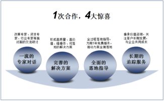 雙百行動 引領(lǐng)發(fā)展的專業(yè)信息咨詢服務(wù)